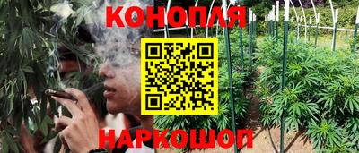 молекула духа Брянск