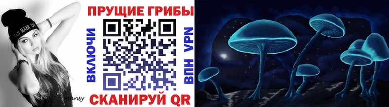Галлюциногенные грибы прущие грибы Курск